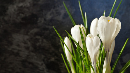 Similar image 21708959