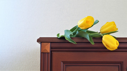 Similar image 21708828