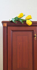 Similar image 21708829