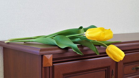 Similar image 21708830