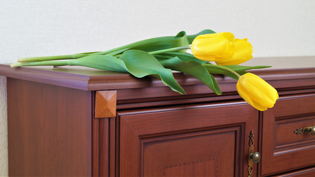 Similar image 21708831