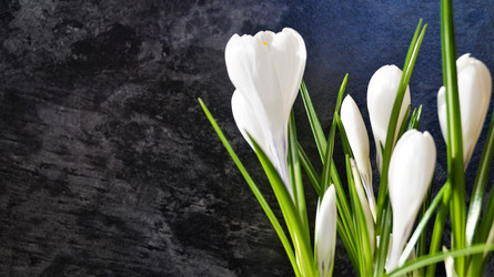 Similar image 21708833