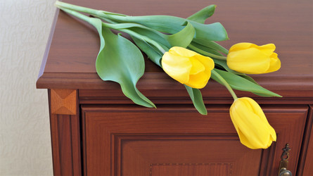 Similar image 21708835