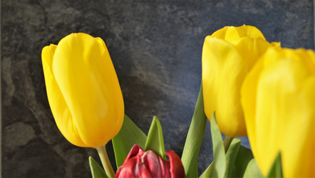 Similar image 21708837