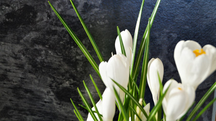 Similar image 21708841