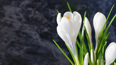 Similar image 21708845