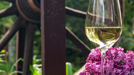 Similar image 21708989