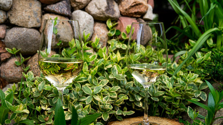 Similar image 21709005