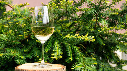 Similar image 21709011