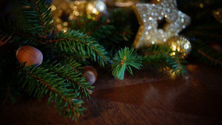 Similar image 21709036