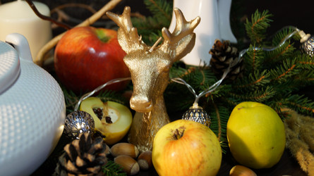 Similar image 21708859