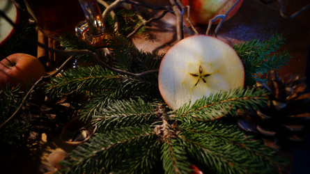 Similar image 21709069