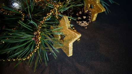 Similar image 21709105