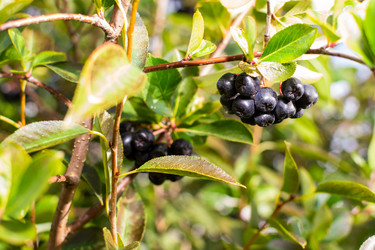 Similar image 21707648