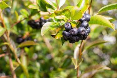 Similar image 21707649