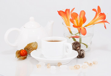 Similar image 21708076