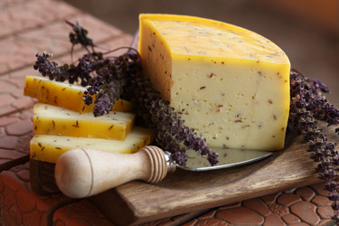 Similar image 21708102