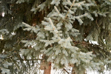 Similar image 21708423