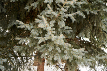 Similar image 21708424