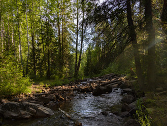 Similar image 21714241