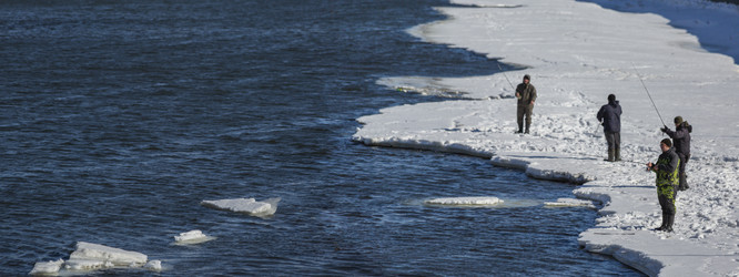 Similar image 21720310