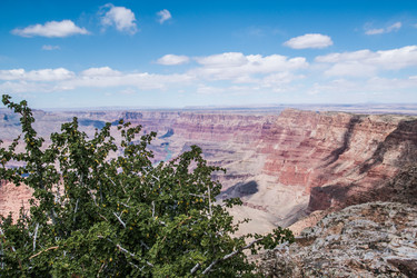 Similar image 21708131