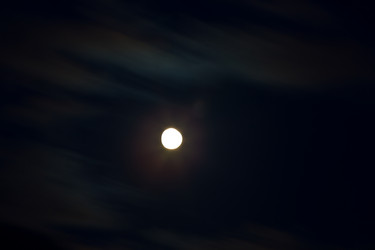 Similar image 21719668