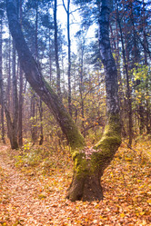 Similar image 21719675