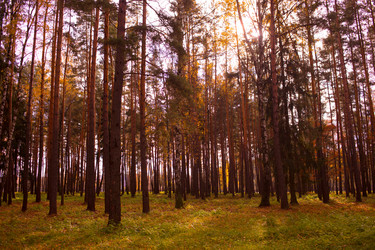 Similar image 21719679