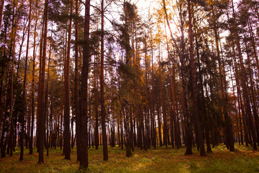 Similar image 21719680