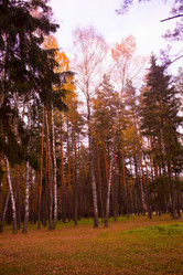 Similar image 21719684