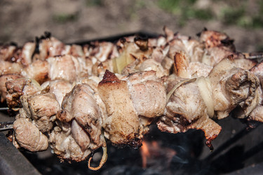 Similar image 21719484