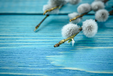 Similar image 21710099