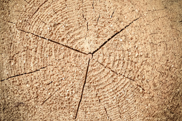 Similar image 21710101