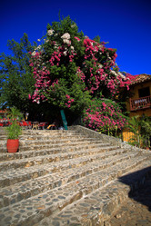 Similar image 21715085