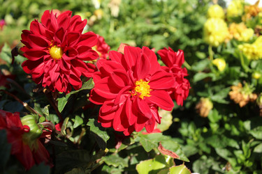 Similar image 21717780