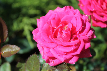 Similar image 21703349