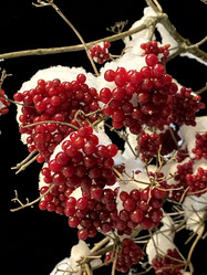 Similar image 21703352