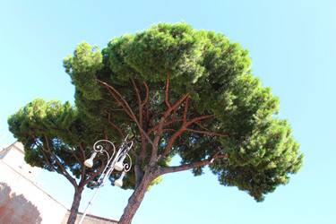 Similar image 21704413