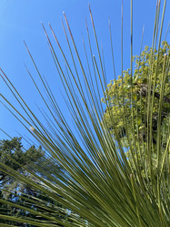 Similar image 21704415