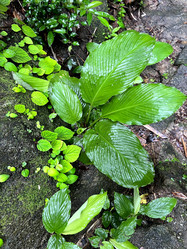 Similar image 21704416