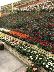 Similar image 21703355