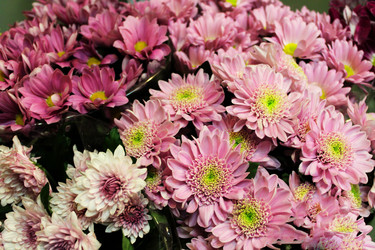 Similar image 21704418