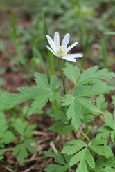 Similar image 21704419