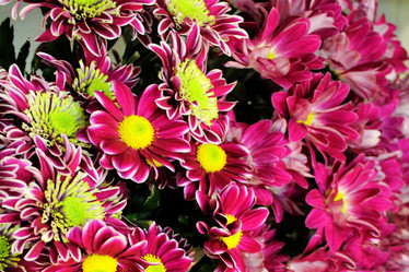 Similar image 21704420