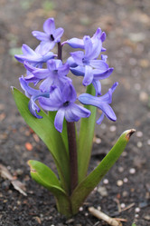 Similar image 21706661