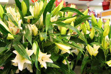 Similar image 21707147