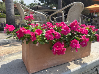 Similar image 21707148