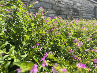 Similar image 21715826