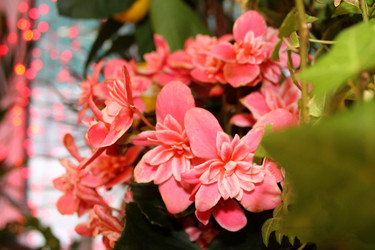 Similar image 21716023